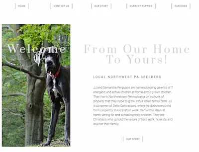 Breeder website design and branding for Ferguson Family Danes, created by BastionTech